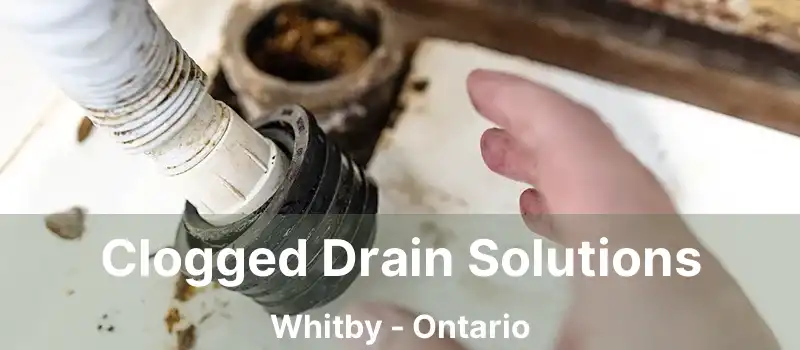 Clogged Drain Solutions Whitby - Ontario