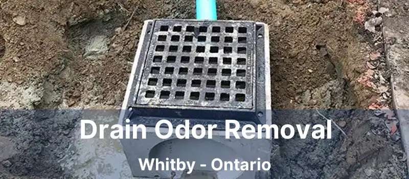  Drain Odor Removal Whitby - Ontario