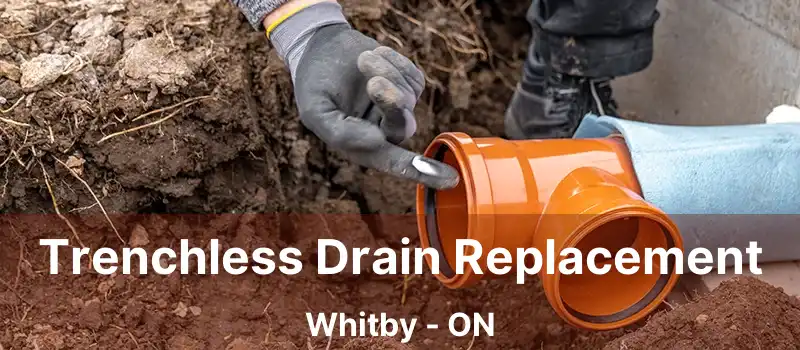  Trenchless Drain Replacement Whitby - ON